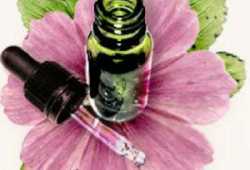 Terapia floral