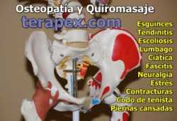 MASAJE PROFESIONAL 20 EUROS