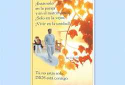 ¿Estas solo en la pareja y en el matrimonio?