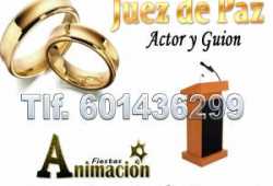 juez de paz económico