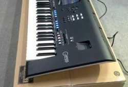 Korg Pa5X , Korg Pa4X , Korg PA-1000, Yamaha Genos