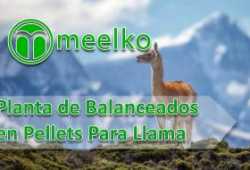 meelko Balanceados en Pellets Para Llama