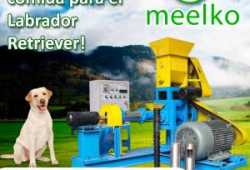 Meelko Extrusora Electrica MKED050C