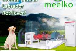Meelko Extrusora eléctrica MKED200B