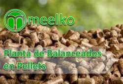 meelko Planta de Balanceados