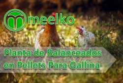 meelko Planta de Balanceados en Pellets