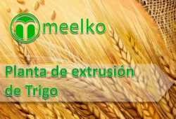 meelko Planta de extrusión de Trigo