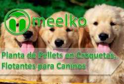 meelko Planta de Pellets en Croquetas