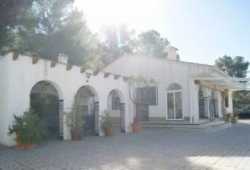 ocasion finca con balsa y pozo y parking