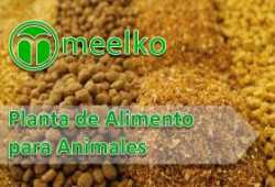 Planta de Alimento para Animales
