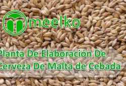 Planta De Elaboración De Cerveza De Malta de Cebad
