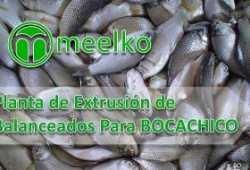 Planta de Extrusión de Balanceados