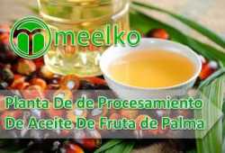 Planta De Procesamiento De Aceite De Fruta De Palm