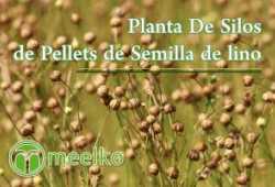 Planta De Silos de Pellets de Semilla de lino