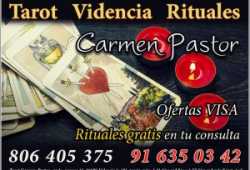 vidente bueno y barato VISA
